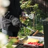 Σετ σκευών μπάρμπεκιου από ανοξείδωτο χάλυβα Navaris, 5 εργαλείων, 46478.01