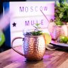 Set 4 Cani Moscow Mule Navaris, 500ml, cupru, 46859.01