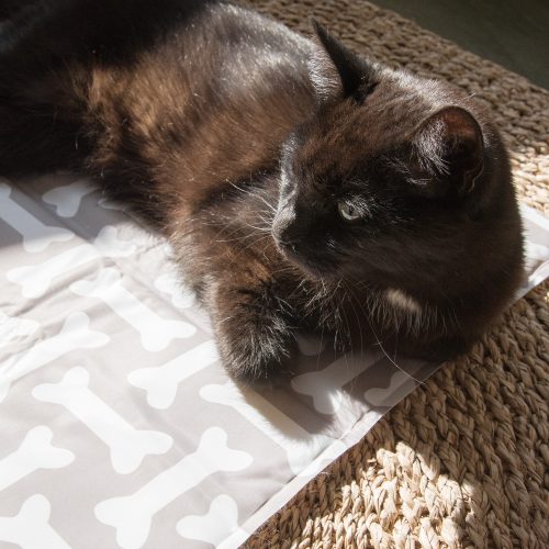 Τζελ ψύξης Navaris για κατοικίδια, 50 x 90 cm, 51240.2