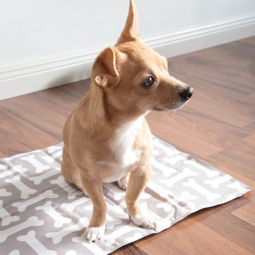 Χαλάκι ψύξης για σκύλους και γάτες, 40 x 50 cm, 51240.1