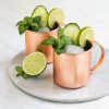Set 4 Cani Moscow Mule, 475 ml, Navaris, 46859.02.04