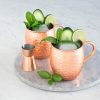 Set 4 Cani Moscow Mule si 1 Jigger, 500 ml, Navaris, 46859.01.05