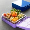 Cutie alimentara Navaris Bento Box, 4 compartimente, violet, plastic, 49877.02.38