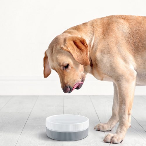 Σετ 2 μπολ για γάτες και σκύλους Navaris, Αντιολισθητικό, Γκρι, 53411.22