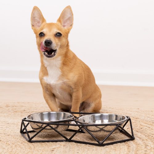 Σετ 2 μπολ από ανοξείδωτο χάλυβα Navaris για σκύλους και γάτες με μεταλλικό στήριγμα, 54103.01
