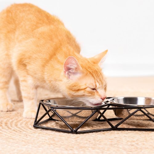 Σετ 2 μπολ από ανοξείδωτο χάλυβα Navaris για σκύλους και γάτες με μεταλλικό στήριγμα, 54103.01