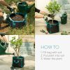 Set 5 bucati Grow Bags Square Navaris, 27x27x27 cm, material netesut, 54255.01