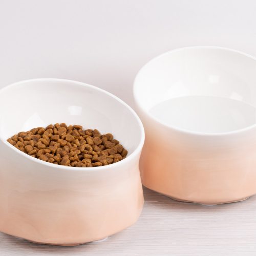 Σετ 2 ψηλά κεραμικά μπολ Navaris για γάτες και σκύλους με ψάθα, 250 ml, 53300,60