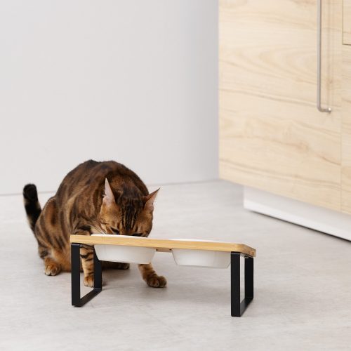 Σετ 2 Μπολ για σκύλους και γάτες με κεκλιμένο στήριγμα Navaris, 330 ml, 55228.2