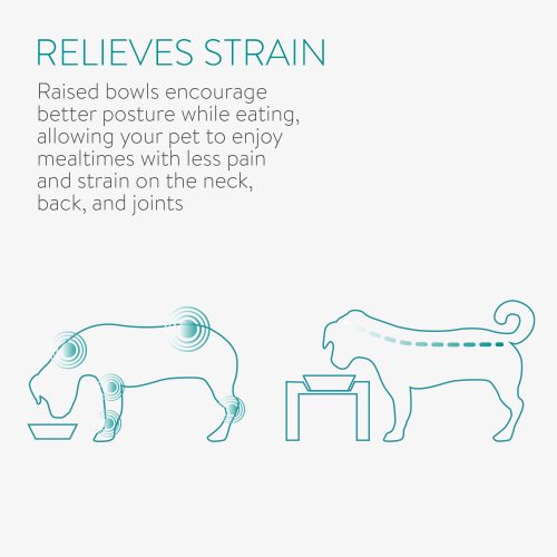 Σετ 2 Μπολ για σκύλους και γάτες με κεκλιμένο στήριγμα Navaris, 330 ml, 55228.2
