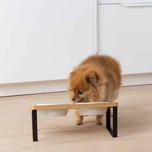 Σετ 2 Μπολ για σκύλους και γάτες με κεκλιμένο στήριγμα Navaris, 330 ml, 55228.2