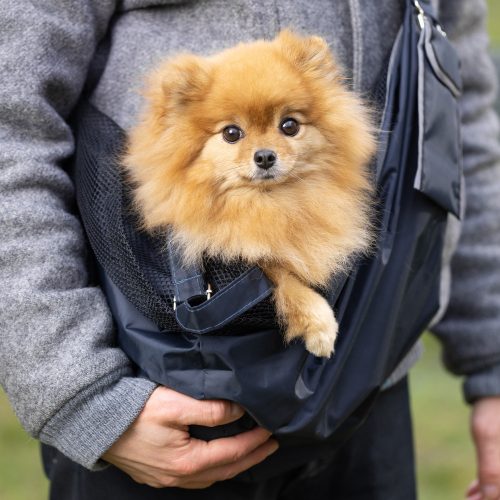 Σακίδιο πλάτης για κατοικίδια Navaris, Polyester, Μαύρο, 55577.17