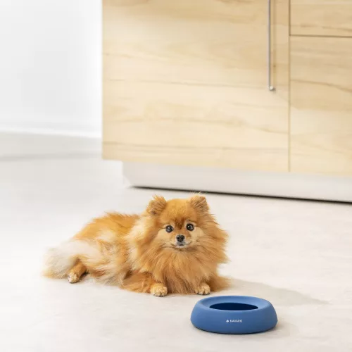 Φορητό μπολ Navaris για σκύλο και γάτα, Silicone, Blue, 55861.04