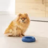Φορητό μπολ Navaris για σκύλο και γάτα, Silicone, Blue, 55861.04