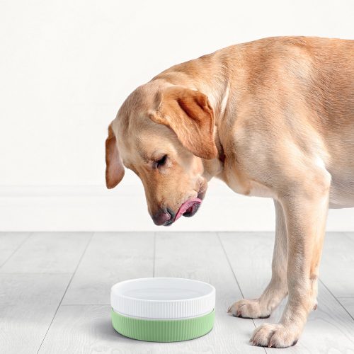 Σετ 2 μπολ για γάτες και σκύλους Navaris, Αντιολισθητικό, Πράσινο, 53411.07