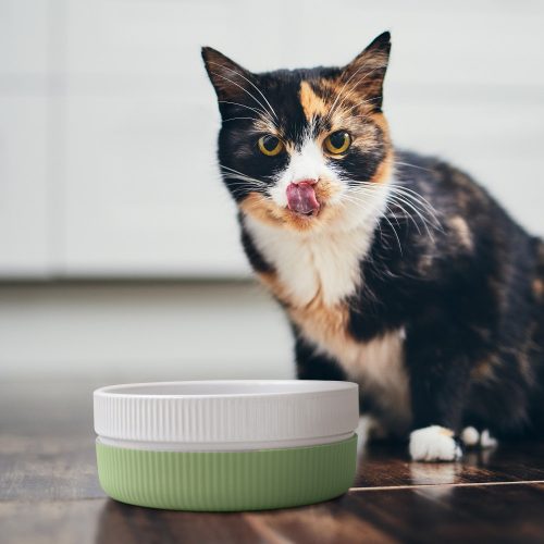 Σετ 2 μπολ για γάτες και σκύλους Navaris, Αντιολισθητικό, Πράσινο, 53411.07