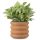 Ghiveci Ripple Navaris, dimensiuni 16x16x14 cm, pentru plante, 60823.01