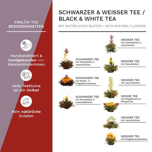 Σετ δώρου Creano ErbluhTee σε ξύλινο κουτί με μαγνητικό κλείσιμο, 12 μπάλες ανθιστού τσαγιού, 9 ποικιλίες