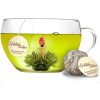 Σετ δώρου ανθιστού τσαγιού Creano Teelini, γυάλινη κούπα 200 ml με καπάκι, 8 φακελάκια πράσινου τσαγιού