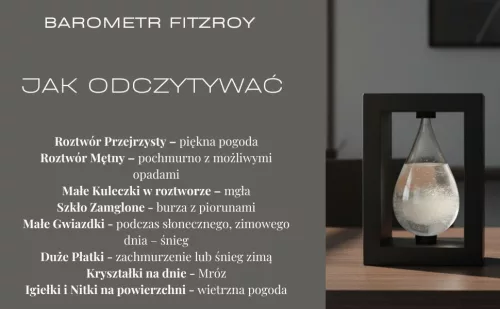 Barometru Fitzroy Giftdeco BAW1, sticlă și MDF negru, 14 cm